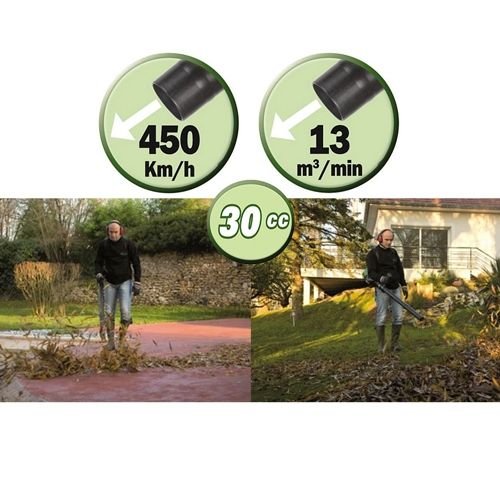 Ribimex PRASBTD30 Rucksackgebläse - Bild 2