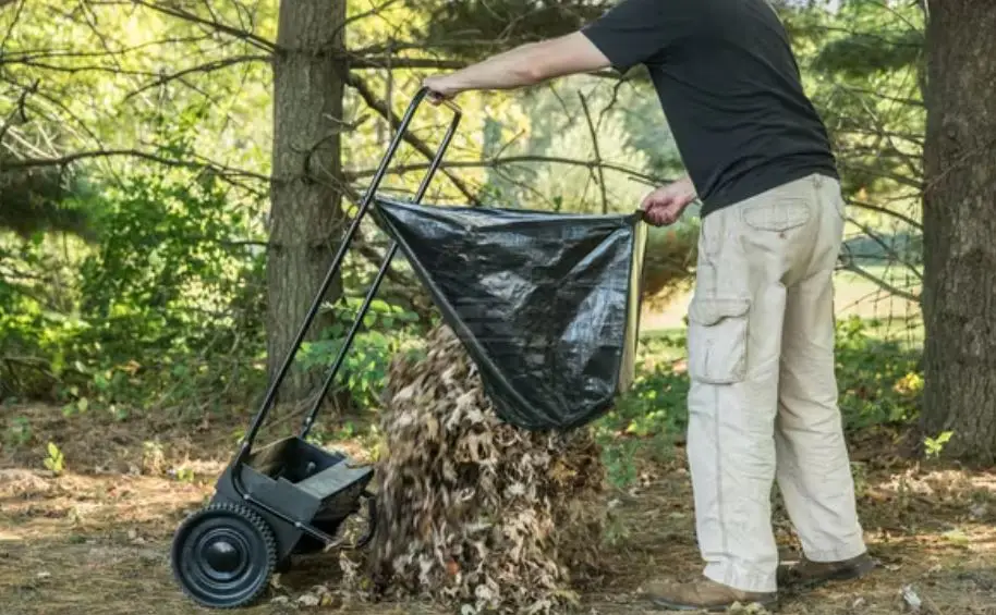 Agrifab Gras Laubkehrer 450218 duwmodel 66 cm - Bild 3