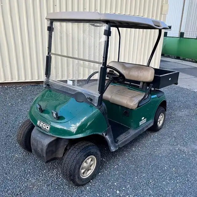 EZGO RXV Golfwagund 48V
