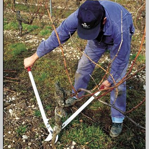 Felco Astschere nr. 22 - Bild 2