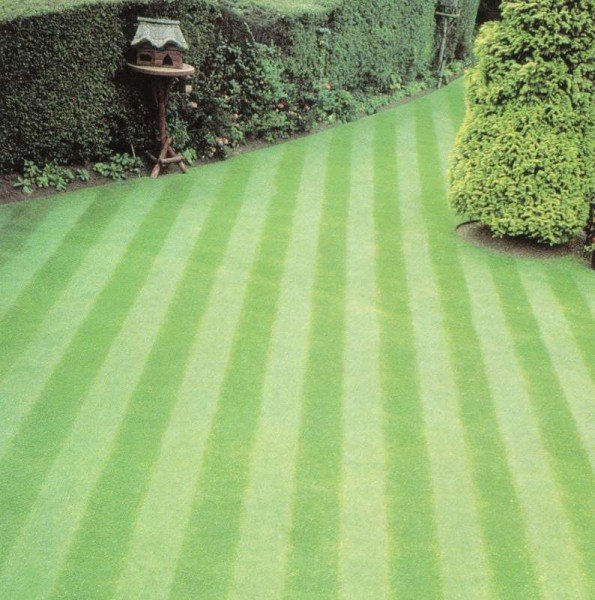 Masport 400B Spindelmäher - Bild 2