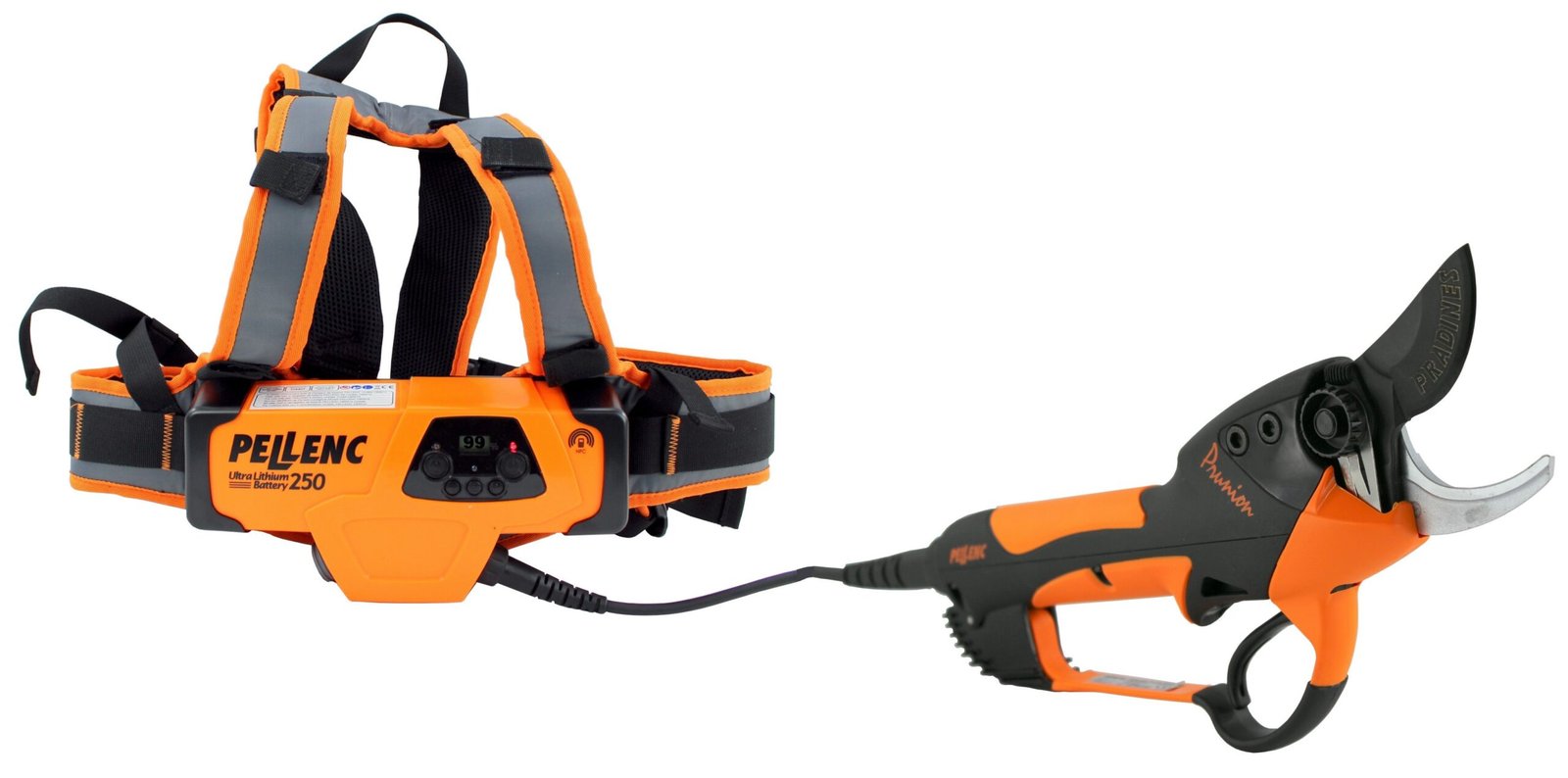 Pellundc Prunion 250 Akku Astschere inklusive 250 Wh Akku