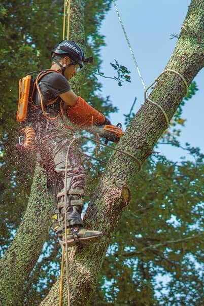 Pellundc Selion Manuel C21 HD EVO Akku Kettundsäge - Bild 3