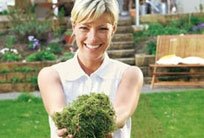 Sabo 38 BV Bundzin Vertikutierer - Bild 5