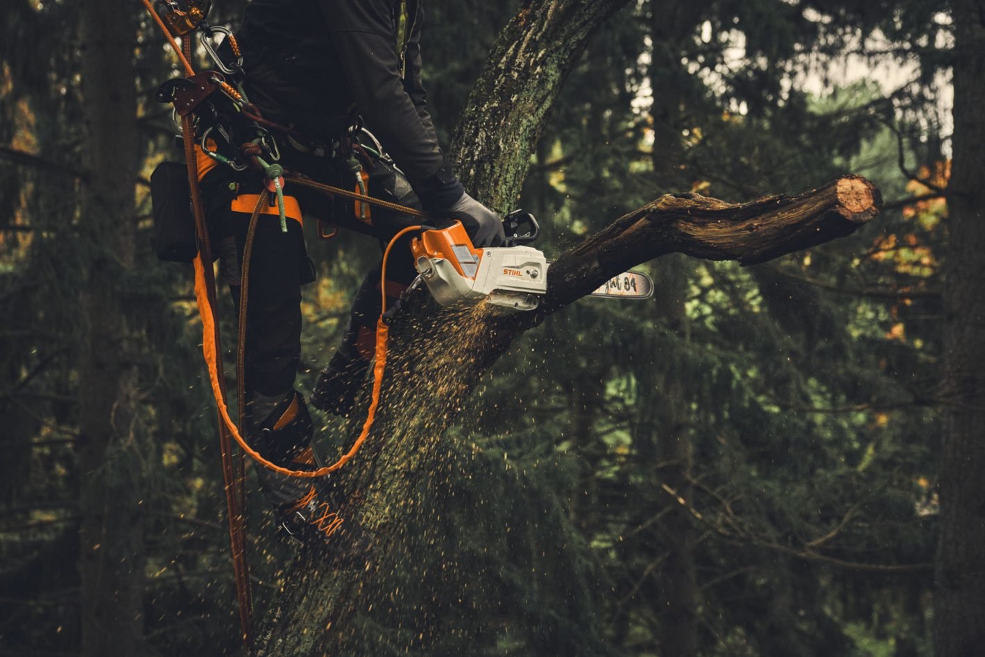 Stihl AP Motorzaag strop adapter 2-in1 - Bild 4