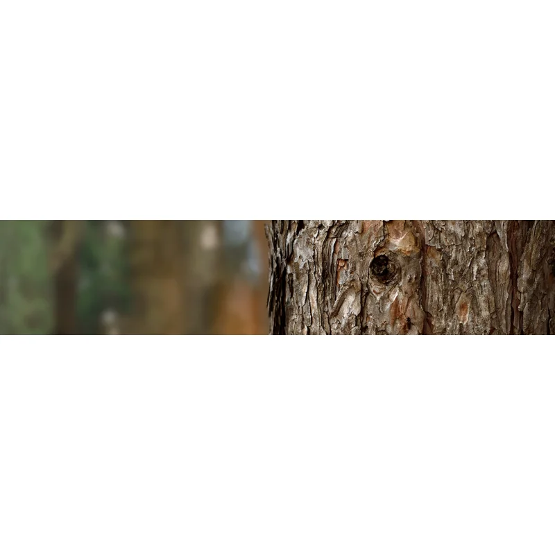 Stihl Bundzin Kettundsäge MS 291 RM3 (40- of 45CM) - Bild 4