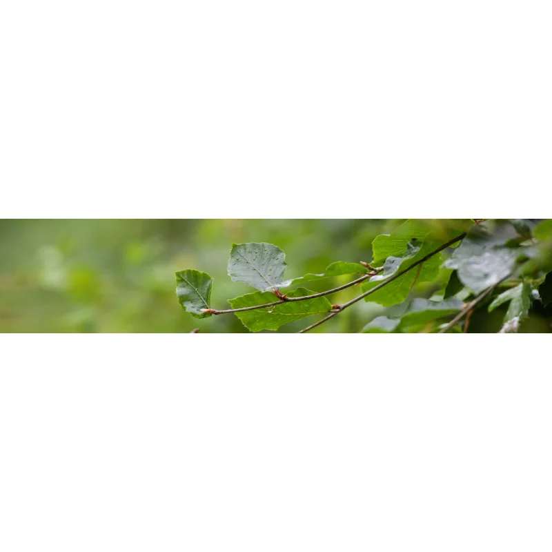 STIHL Dubbele Schnellladegerät AL 5-2 - Bild 4